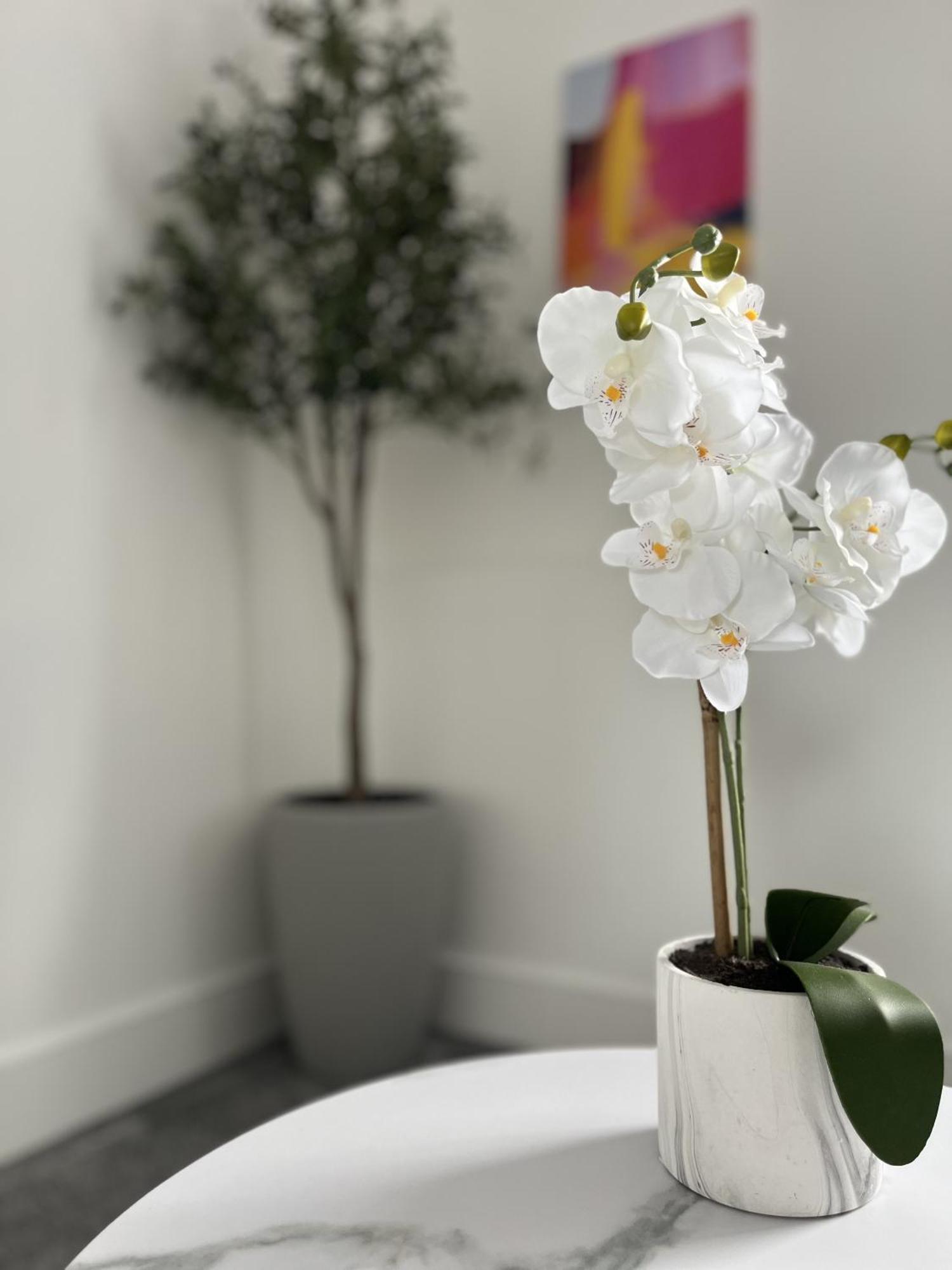 Luxury Norwich City Centre Apartment - Free Parking Extérieur photo